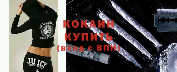гидра Богданович