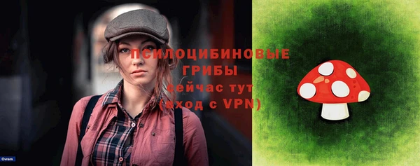 COCAINE Богородицк