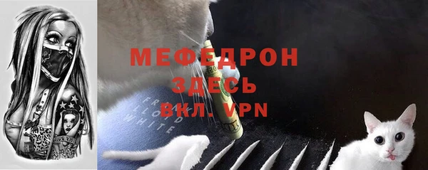 гидра Богданович