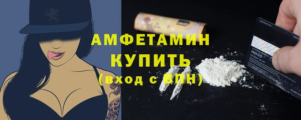 гидра Богданович