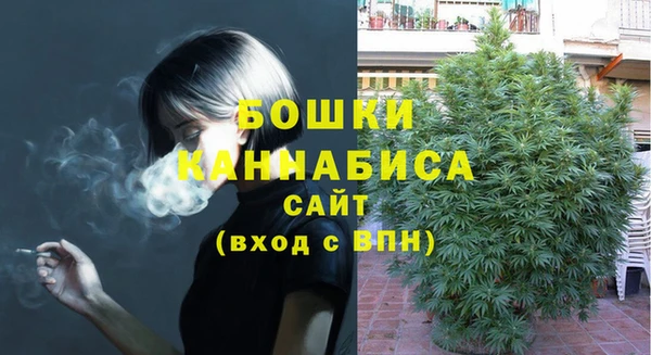 гидра Богданович