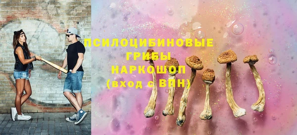 гидра Богданович