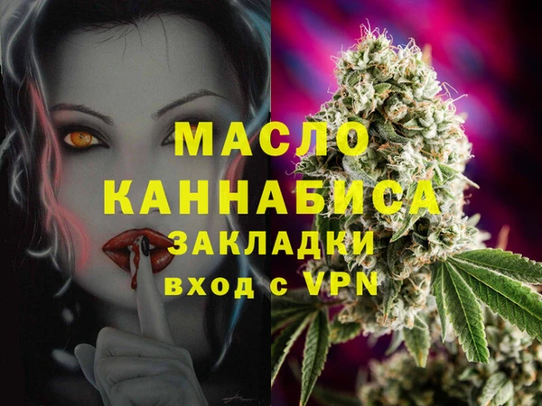 гидра Богданович
