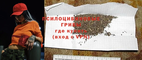 гидра Богданович