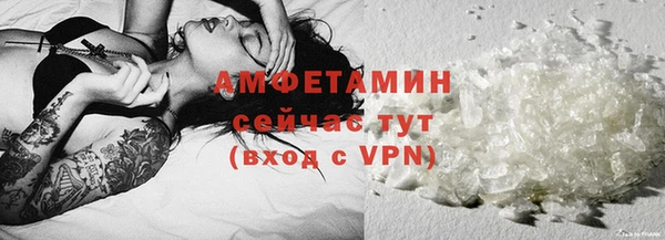 гидра Богданович