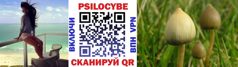 Галлюциногенные грибы Cubensis  купить наркотик  Верхняя Пышма 