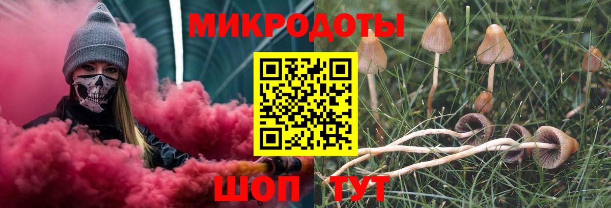 Галлюциногенные грибы Psilocybine cubensis  Верхняя Пышма 