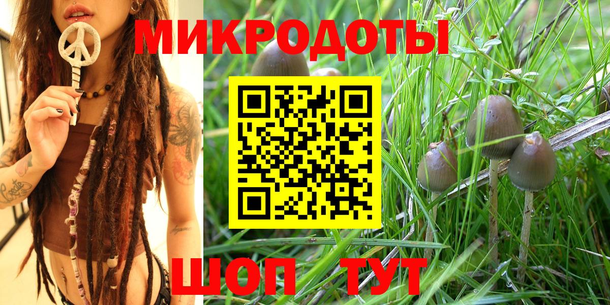 Псилоцибиновые грибы мицелий Верхняя Пышма