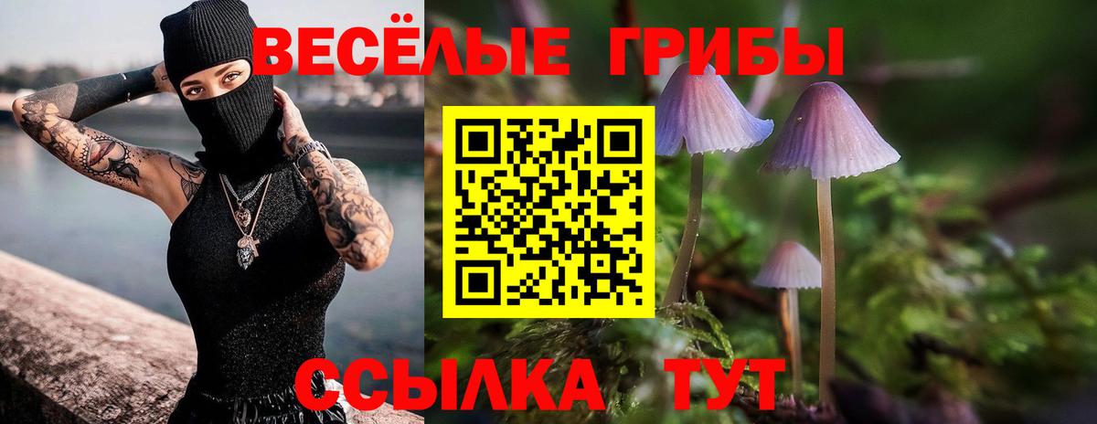 Верхняя Пышма  Галлюциногенные грибы Magic Shrooms  Вход с VPN  Галлюциногенные грибы мухоморы 